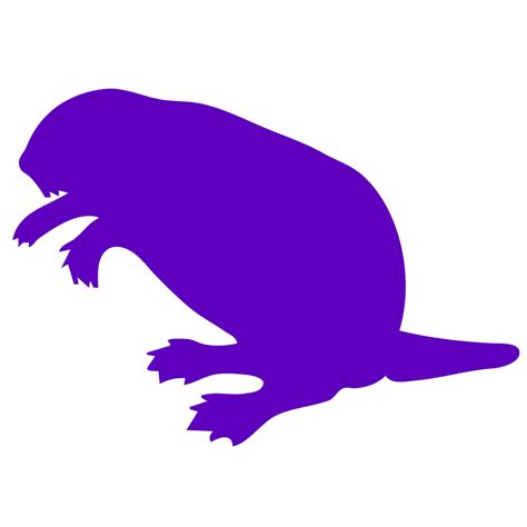 Purple Beaver