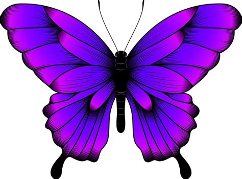 Purple Butterflies Vector Images (over 3,900) - VectorStock