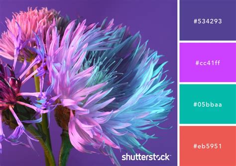 Purple Color Schemes Design Applications Meaning And More