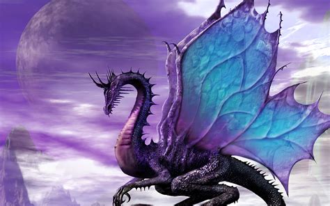 Purple Dragon Hd Wallpapers In Cool