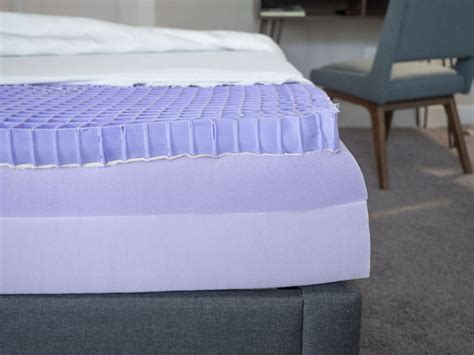 Purple Mattress Company Wiki (Updated 2024) - Medina County …