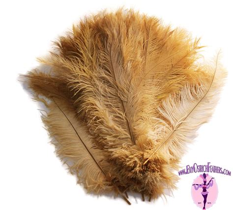 Purple Narrow Ostrich Feathers Wholesale Dozen Bulk 12-14 …