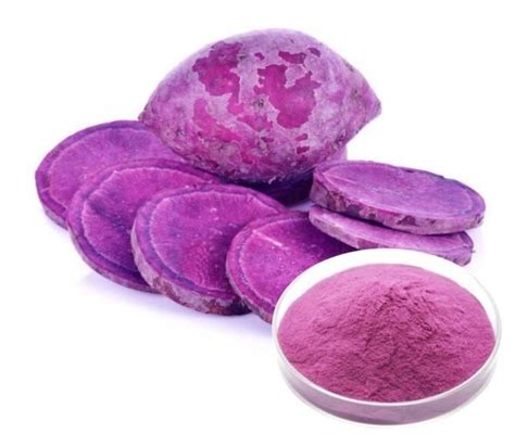 Purple Sweet Potato Powder - manufacturer - undersun