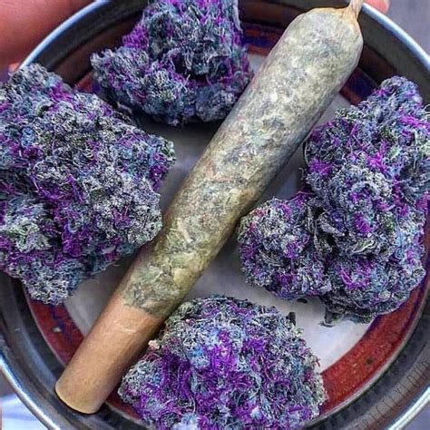 Purple Weed Smoke