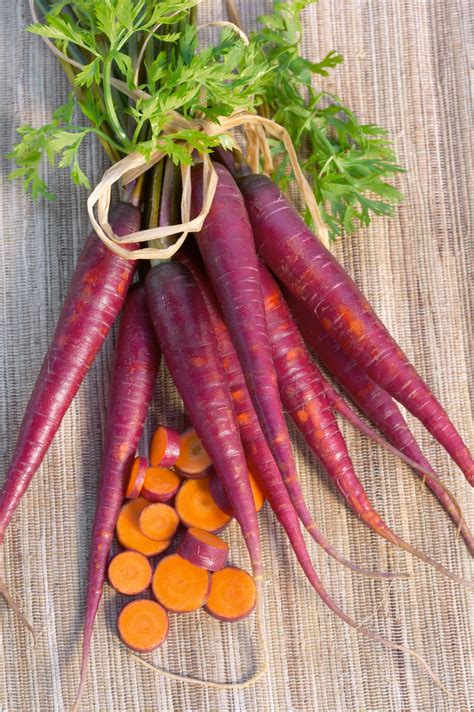 Purple carrots. Feb 11, 2024 ... Winter's colorful hero, the purple carrot, boasts more than just its vibrant hue. Packed with anthocyanin antioxidants, it offers potential ... 