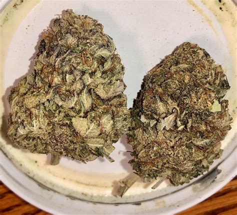 Get details and read the latest customer reviews about PhD - Purple Jolly Rancher - Pre-Roll 1g - 22.04% THC by Pharmicated on Leafly. Leafly Shop legal, local weed. .