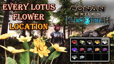 Purple lotus orb conan exiles. Things To Know About Purple lotus orb conan exiles. 
