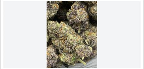 Purple mac strain allbud. A hybrid that was born from Miracle 15 and Alien cookies F2. We have the highest quality Mac1 that will make sure to provide you with upbeat and balancing effects. 