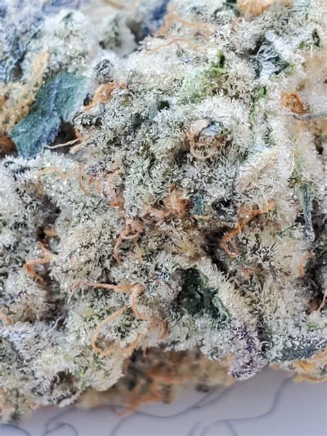Created by Seed Junky Genetics as a combination of Gelato 33 and Wedding Cake, the Ice Cream Cake strain is one of the most popular. It is an indica-dominant marijuana strain with good sedating and calming effects. This weed is not suitable for beginner tokers as it has a high THC content of 22-25%. The CBD content can go as high as 1.3% as well.. 
