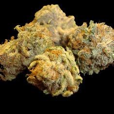Kush Mints is a hybrid weed strain made from a genetic cross between 