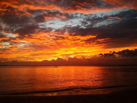 Purple sunset on white sand. - Review of White Sands Park, Huskisson …