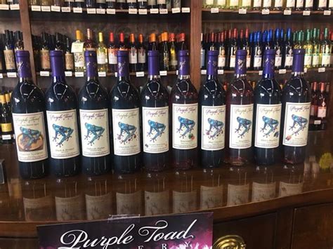 Purple toad winery. Purple Toad Winery's Blue Chocolate wine is a blend of sweet concord wine and chocolate! Released 7/31/17! Skip to content Free Shipping On Orders Over $50. 