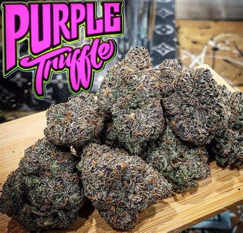 White Truffle is an exotic and potent strain that has a distinctive earthy and savory flavor. It is derived from the same lineage as OG Kush and is known for its potent effects that can induce a ...