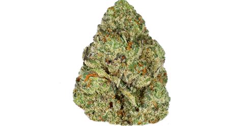 This strain is 50% sativa and 50% indica. Blue Mints has a sweet and minty flavor that reminds you of a blue raspberry slushie. It produces frosty and colorful buds with purple and green t.... 