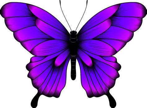 Purple.Butterfly Leaked 🍑 [CLIP]