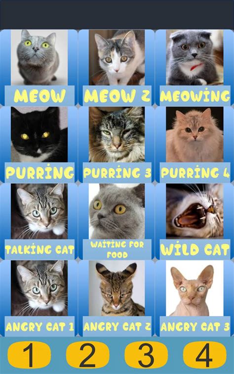 Purring Cat Sound APK Download for Android 