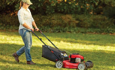 Push mower modifications.  Learn more.  PUSH meaning: 1.  The film was released in ...