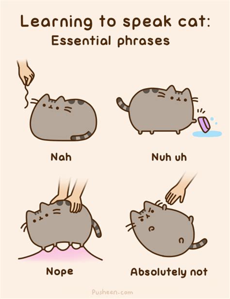 Pusheen the cat- Learning to speak cat! She is so fluffy ... - Pinterest