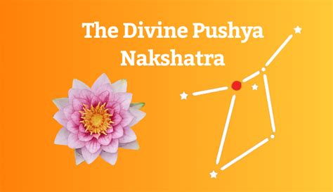 Pushya nakshatra 2019 predictions. .  ...