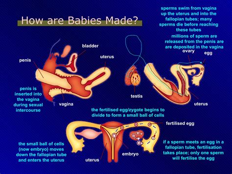 Pussy with dick inserted.  To taste this unique category, take a Once she a...