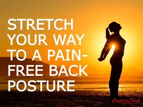 Read Put Your Back At Ease Secrets Of Painfree Posture For Health Energy And Relaxation Based On Yoga Principles And The Pioneering Research Of Noelle Perezchristiaens At The Aplomb Institute In Paris By Thea Sawyer