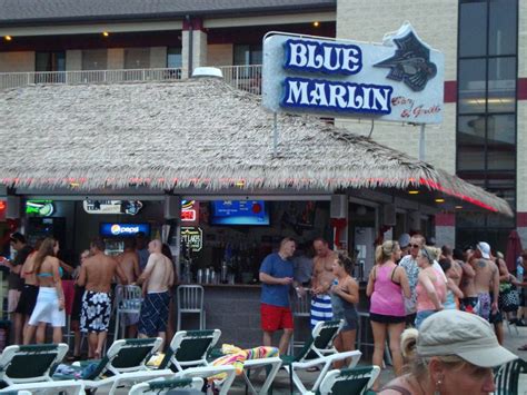 Put-in-Bay Bars Blue Marlin Bar & Grill Put in Bay Ohio Drinking