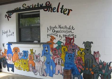 Putnam county humane society. The Putnam County Humane Society Thrift Store is a non-profit animal shelter located in Kent, Town of, NY. Established in 1957, it was one of the first no-kill shelters in the country and has since grown and improved to meet the needs of the community and pet population. 