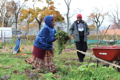 Putting down roots: How community gardens help immigrant retention