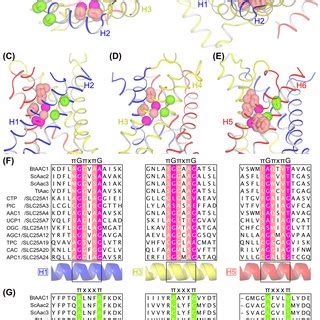 Pxxxp Onlyfans Leak 🍌 XXX