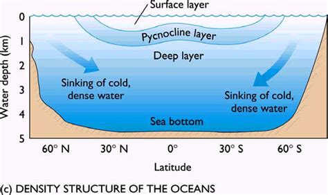 Pycnocline upsc.  Formation of pycnocline may result from changes in salinity or temperature...