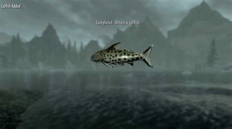 Pygmy fish skyrim. The act of fishing has many variables that go into determining what the player catches. The most important of these are the biome the player is fishing in, the time of day, the population of fish at the fishing spot, the rod the player is using, and any quests that the player may have active. There are 6 biomes that the player can … 