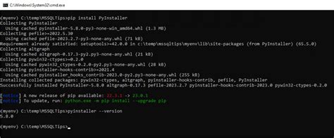 Pyinstaller environment variables. " myscript.  It explains how PyInstaller d...