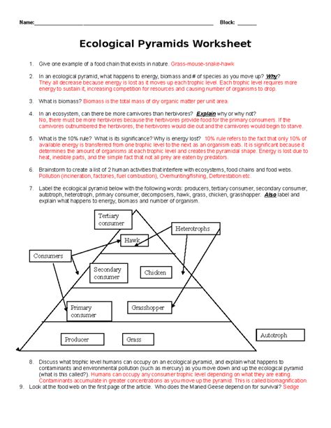 Pyramid Key Answer Ecological