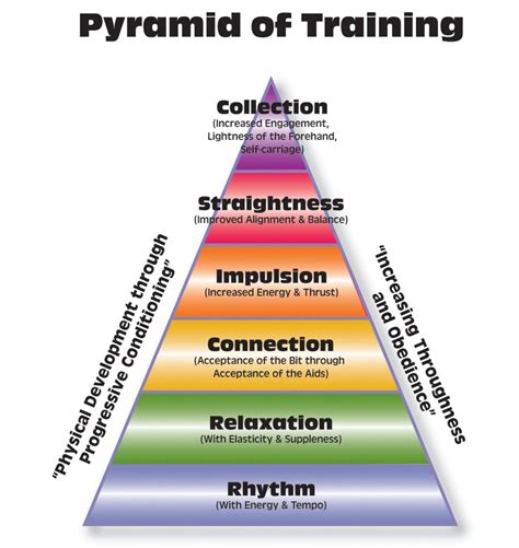 Pyramid model training modules.  These Training Modules These modules provide the t...