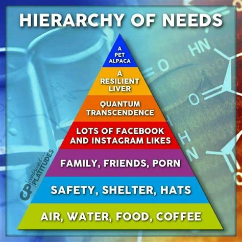Pyramid of needs meme. hierarchy pyramid needs parodies memes meme. A "Love Meme" is a social media meme that celebrates love in all its forms. The Love Meme typically features a photo or graphic of two people in a loving embrace, with a caption that expresses love or appreciation for the couple. 