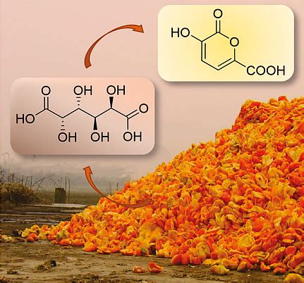 Pyrone Synthesis from Renewable Sources: Easy Preparation of …