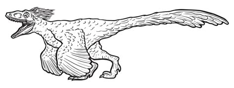 Pyroraptor Hand Drawn Vector 8312948 Vector Art at Vecteezy