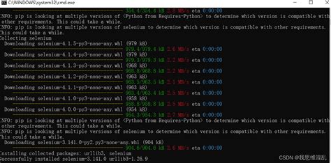 Python安装selenium报错error metadatagenerationfailed 解决如下_我思维混乱的博客CSDN博客