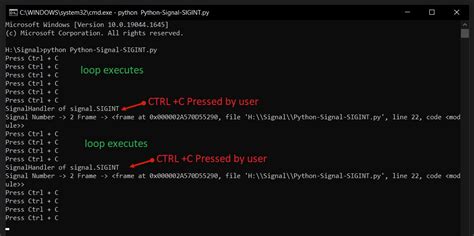 Python Catch SIGINT (CTRL-C) DevDungeon