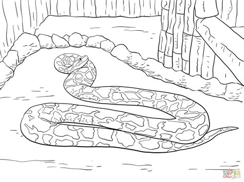 Python Coloring Pages Coloring Home