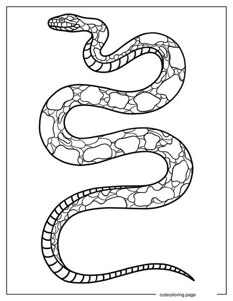 Python coloring pages download and print for free