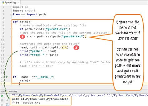 Python copy file with wildcard.  src and dst are path names given as strings.  I want to duplica...