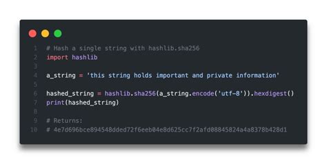 Python hashlib sha256. .  <a href=https://testnnnn.on-forge.com/assets/images/tbwan...