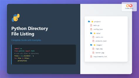 Python open files in directory.  Feb 4, 2025 · Introduction: Is Python C...