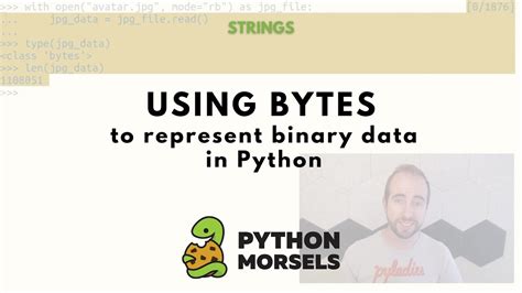 Python print bytes as binary.  With the help of hands-on Wij willen hier een beschrijvin...