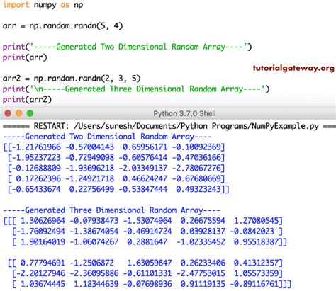 Python random array