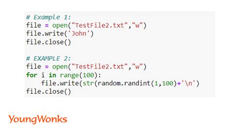 Python read remote file.  This id is using in back-end of Python interpreter to compare two obj...