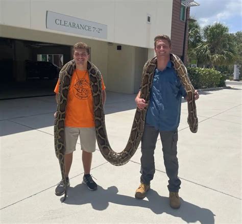 Pythons become an obsession: A night out with the hunters who caught that record-breaking 19-foot snake