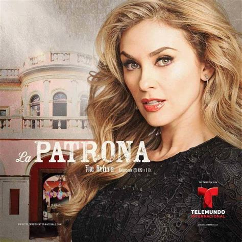 Q patrona. Things To Know About Q patrona. 