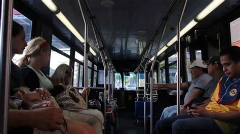 Q53 bus time. Things To Know About Q53 bus time. 
